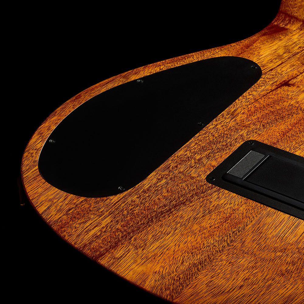 Close-up of Stage Artist Agave Burst back thumb