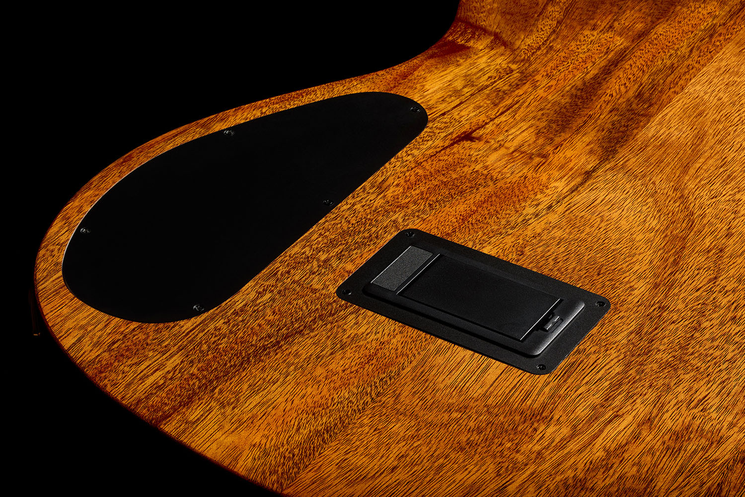 Close-up of Stage Artist Agave Burst back