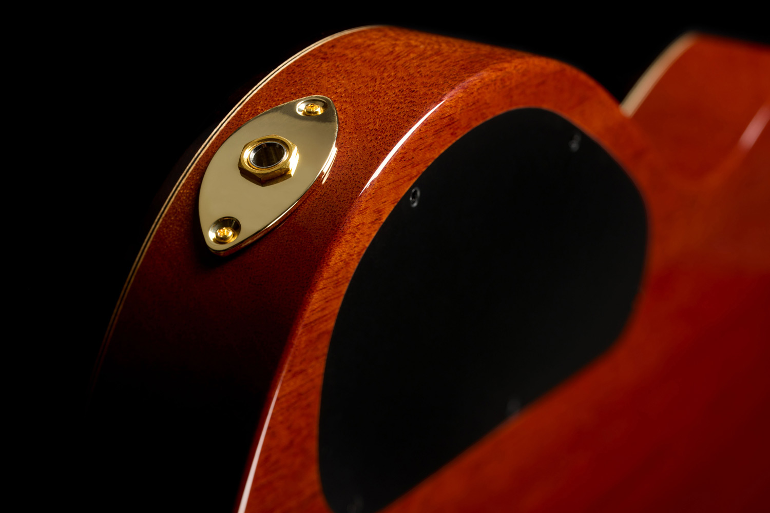 Close-up view of Stage Artist Traditional output jack