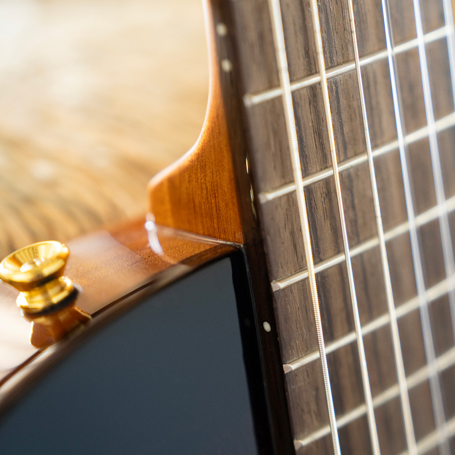 Close-up of Stage Edge Burst strap pin thumb