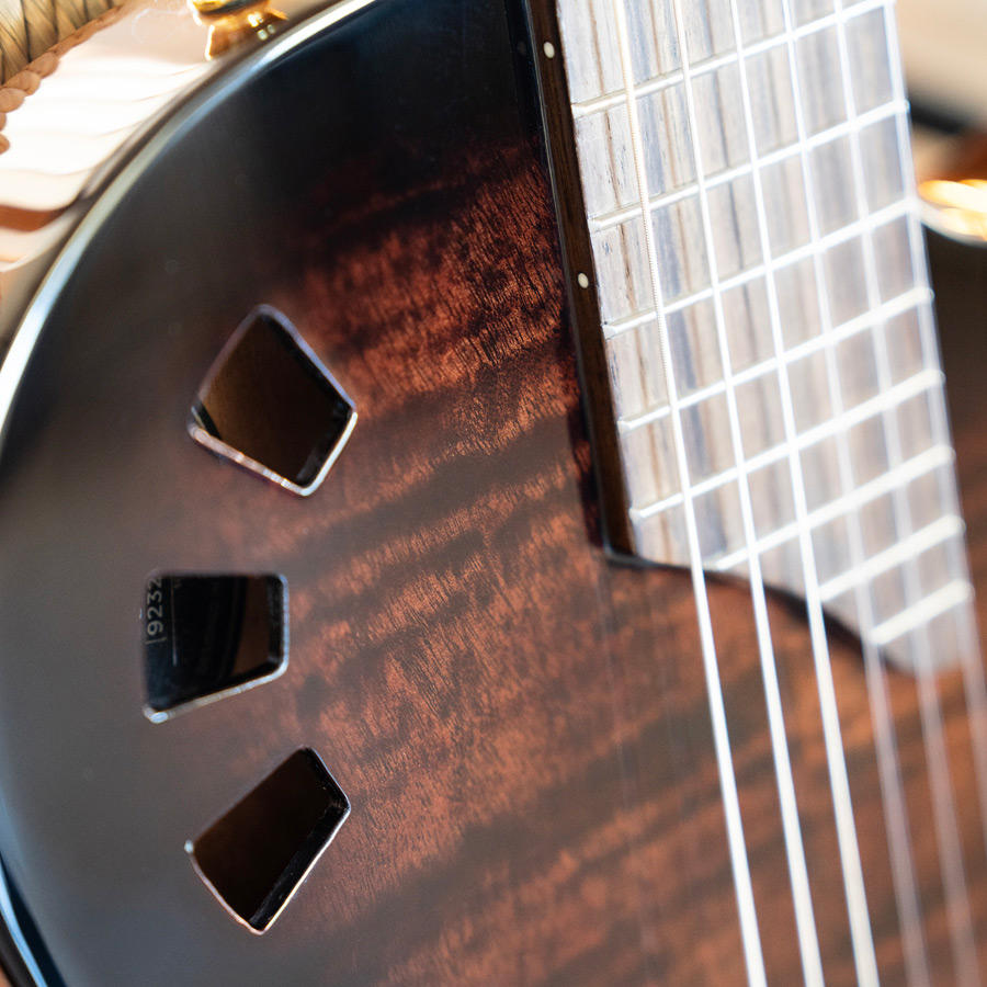Close-up of Stage Edge Burst soundhole thumb