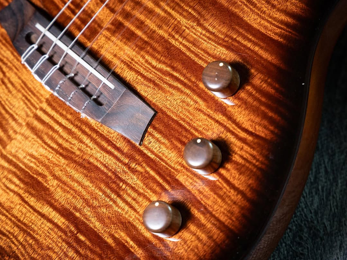 Close-up of Stage Edge Burst knobs showcasing the Stage pickup system