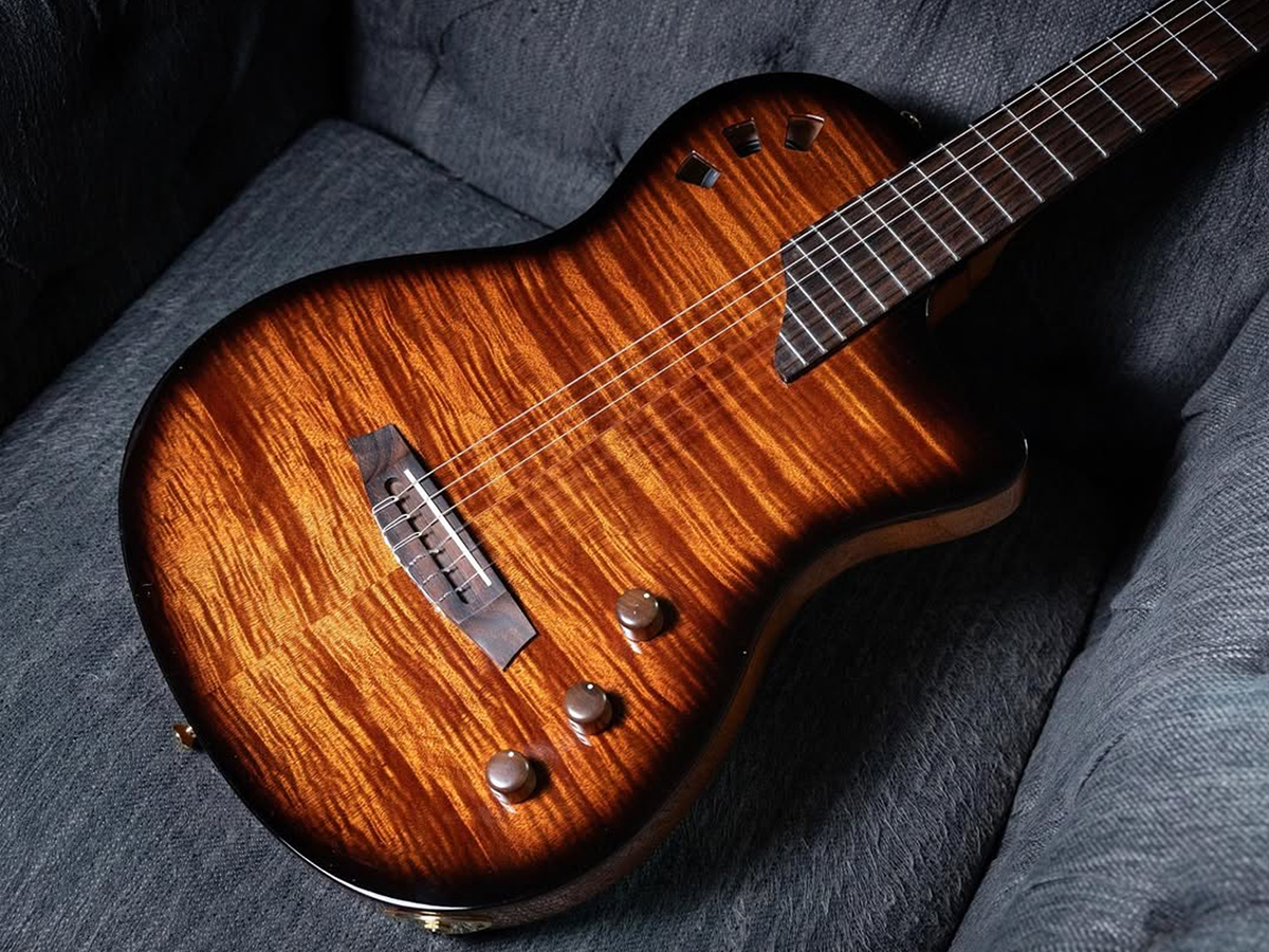 Top down view of Stage Edge Burst guitar showing strings, pickup, and unique fusion neck