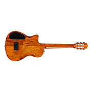 Horizontal back view of Stage Artist Agave Burst guitar thumb