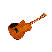 Angled back view of Stage Artist Agave Burst guitar thumb