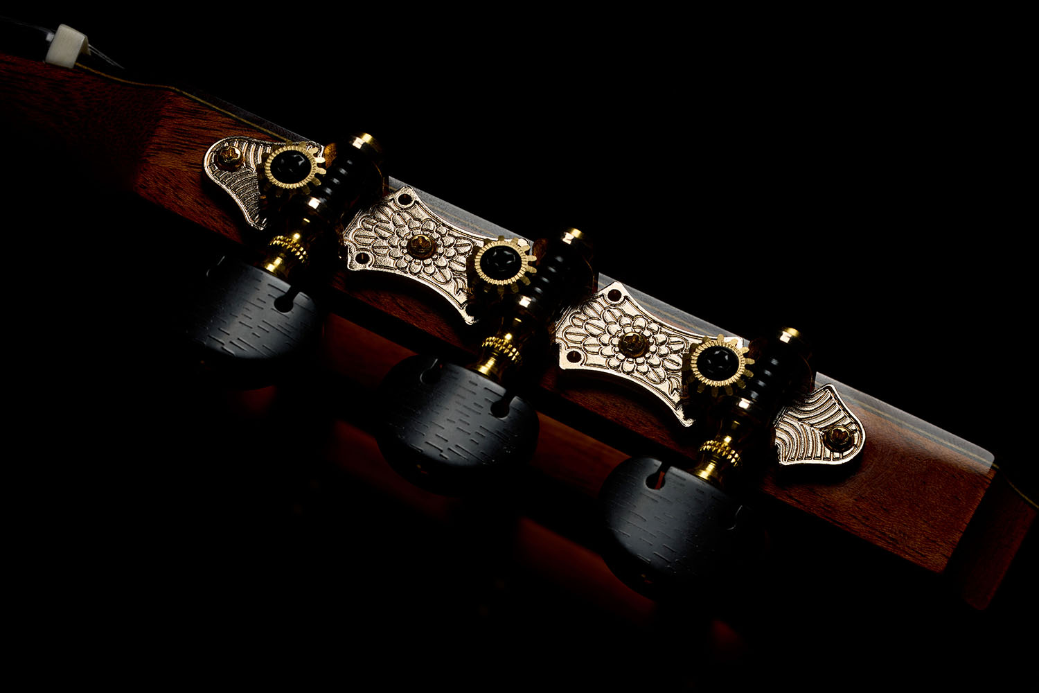 Close-up of Stage Artist Agave Burst flower petal tuners