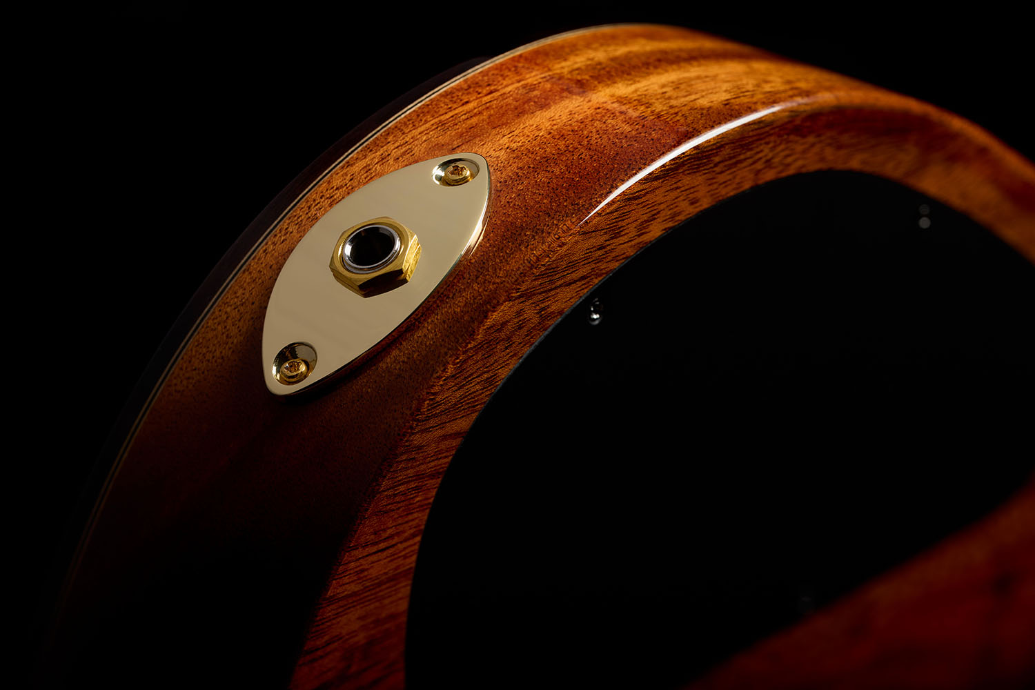 Close-up of Stage Artist Agave Burst output jack