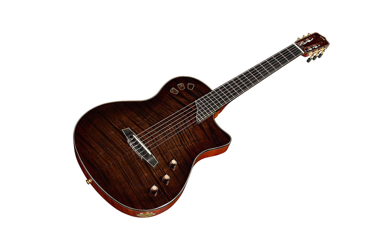 Angled front view of Stage Artist Habano Burst guitar