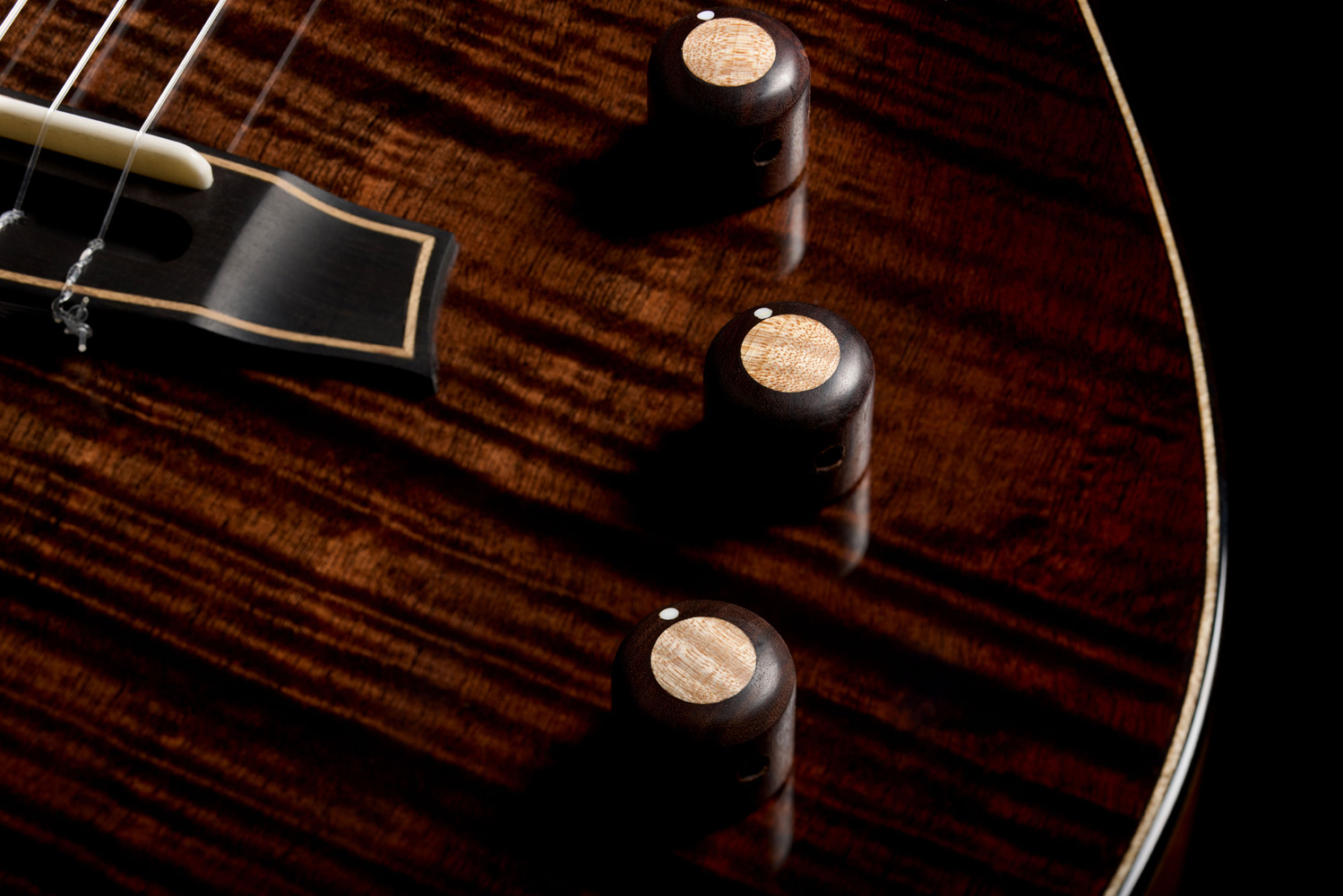 Close-up view of Stage Artist Habano Burst knobs