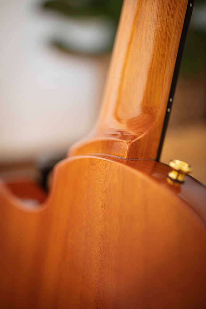 Close-up of Stage Natural Amber neck heel