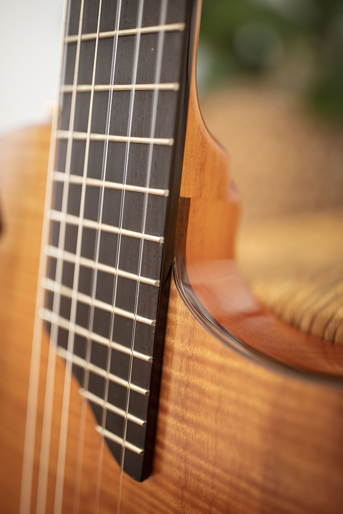 Close-up of Stage Natural Amber neck and strings
