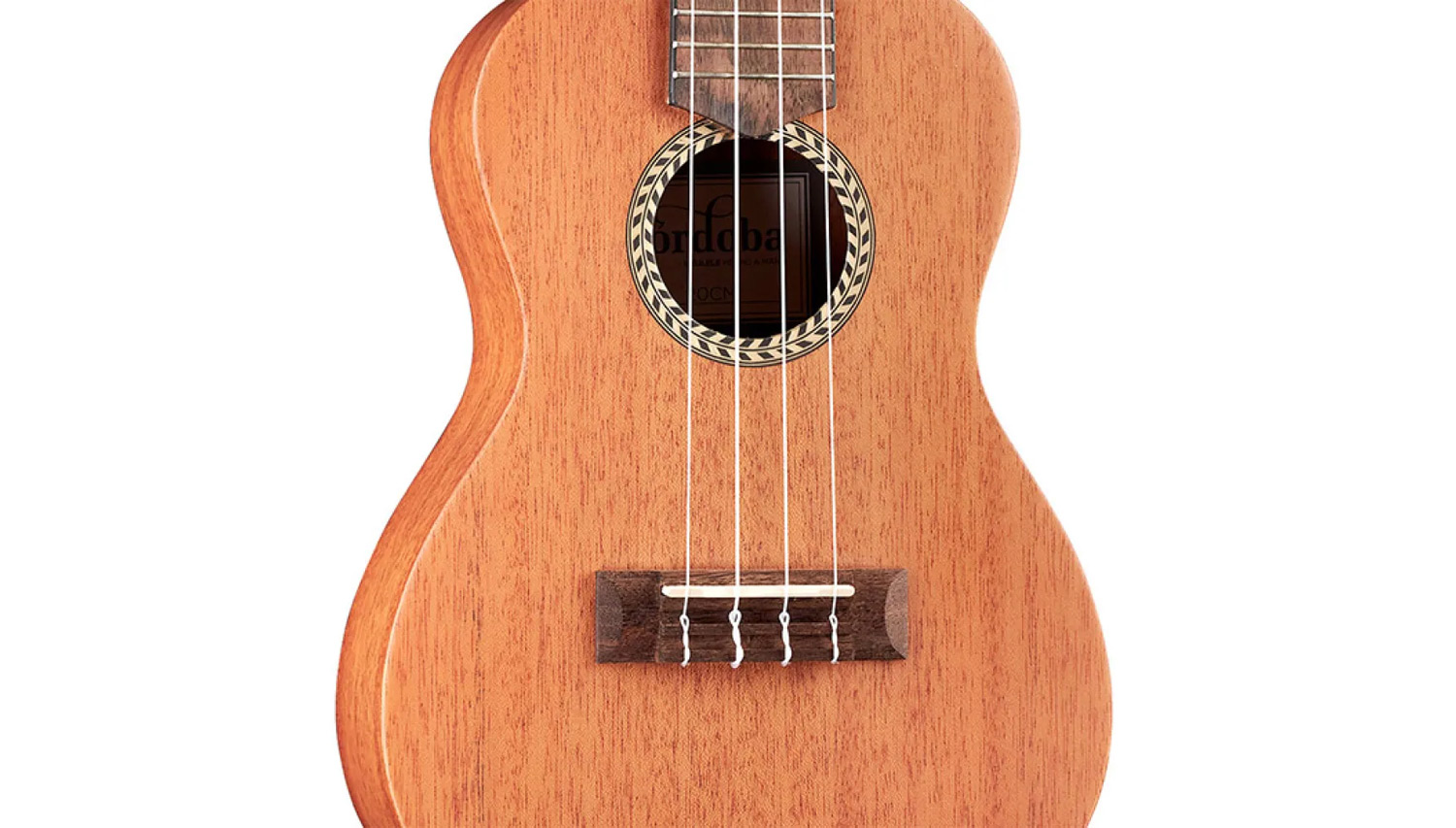Close-up body view of 20CM ukulele