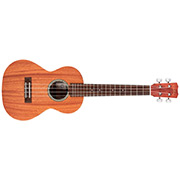 Horizontal front view of 20TM ukulele thumb