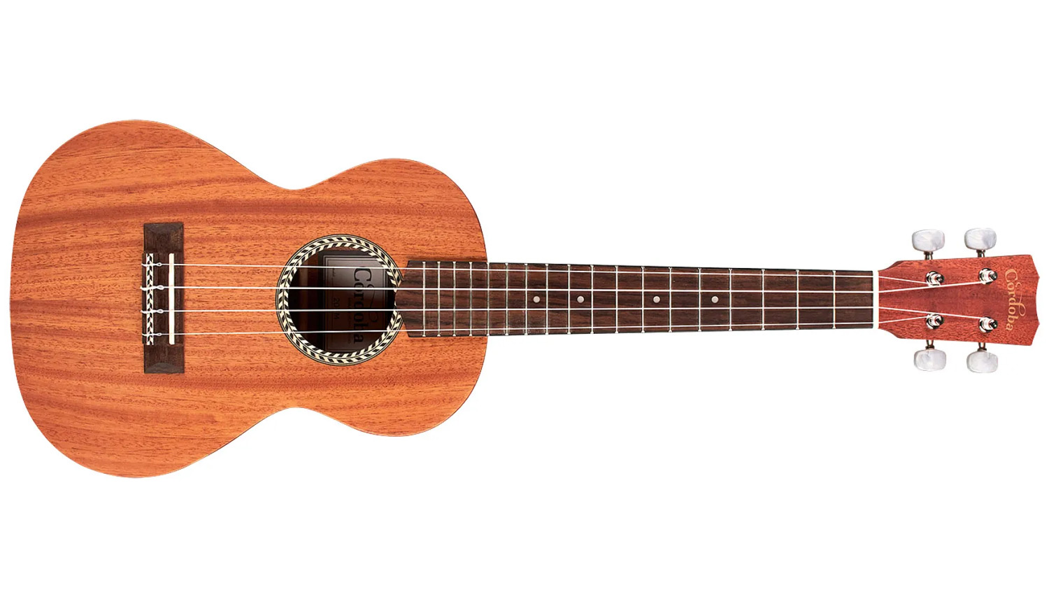 Horizontal front view of 20TM ukulele