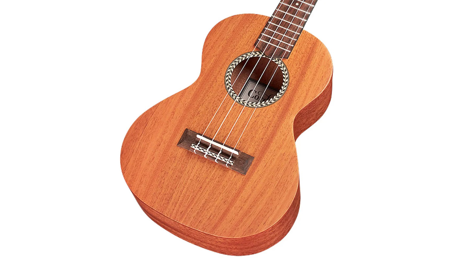 Angled front view of 20TM ukulele