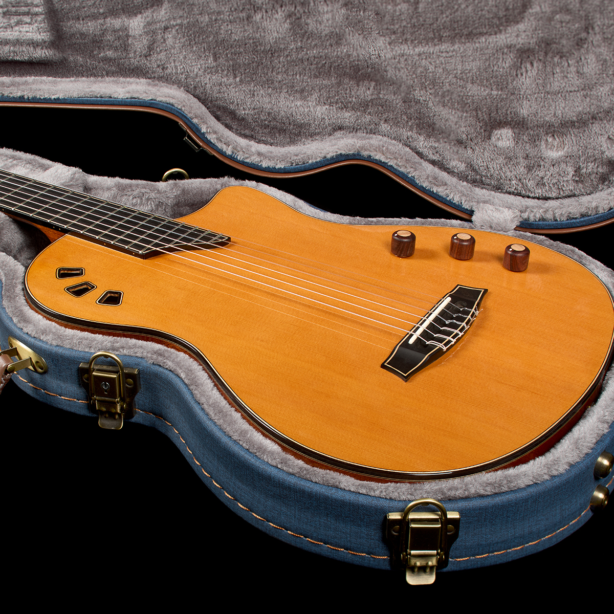 Stage Artist Traditional laying in the Stage hardshell case