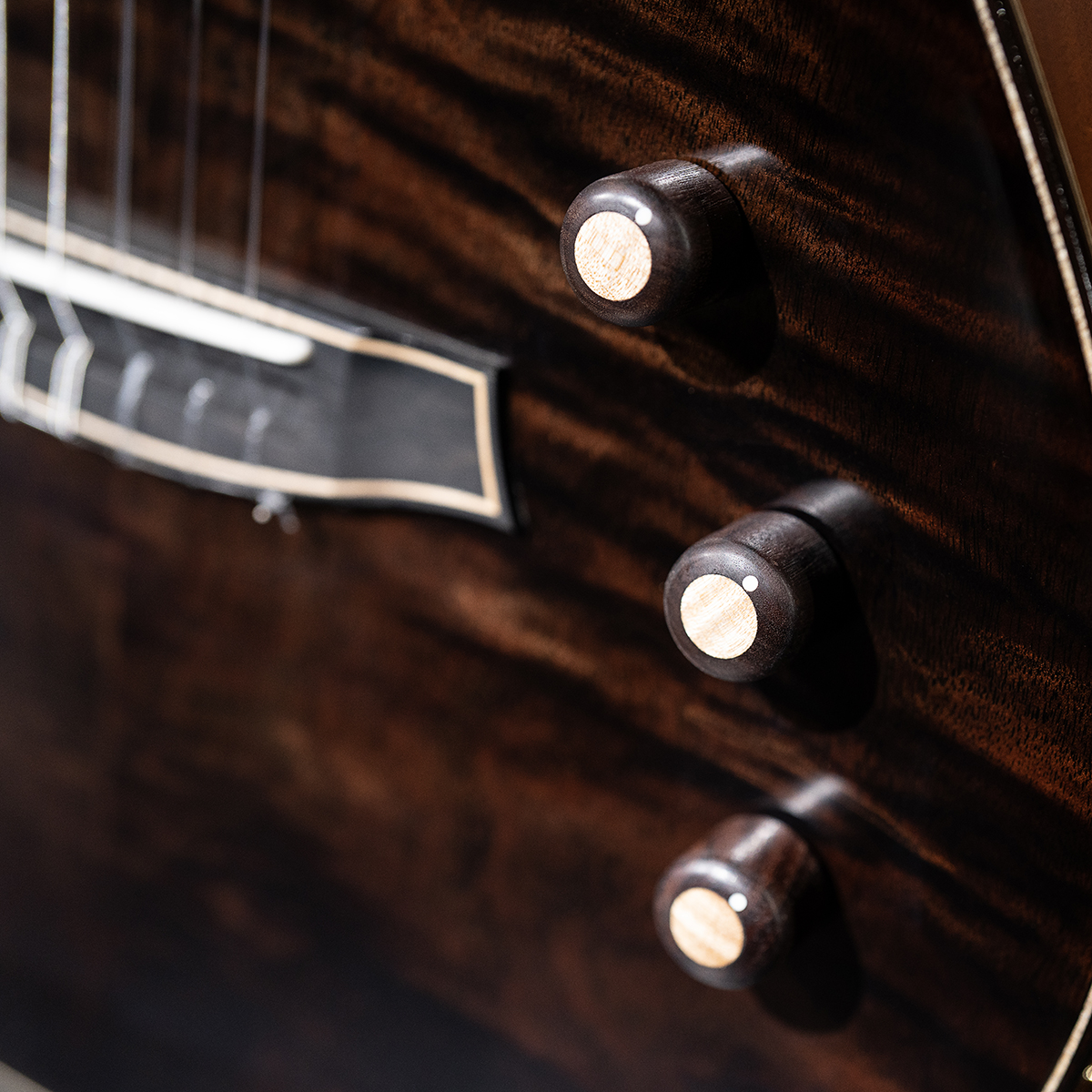 Close-up of Stage Artist Habano Burst showcasing the Stage pickup system