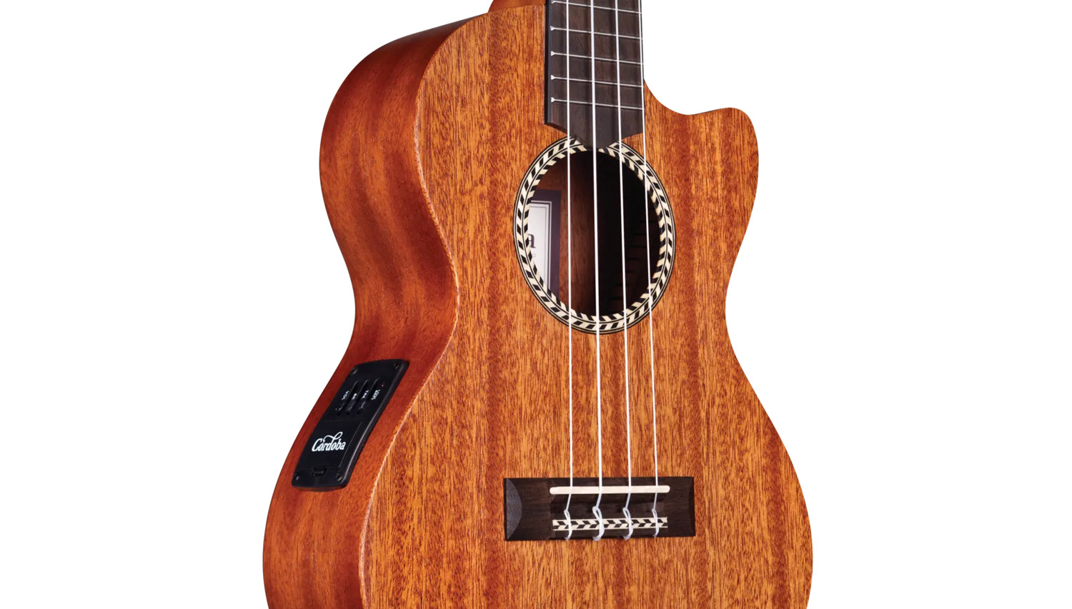 Close-up body view of 20TM-CE ukulele