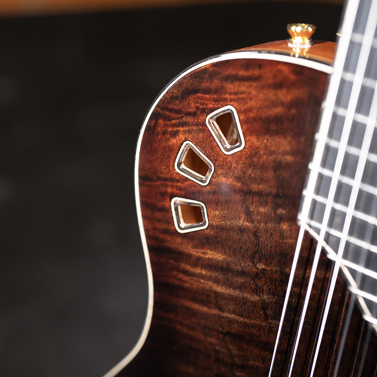 Close-up view of Córdoba Stage Artist Habano Burst showcasing the Exotic Top design and soundhole