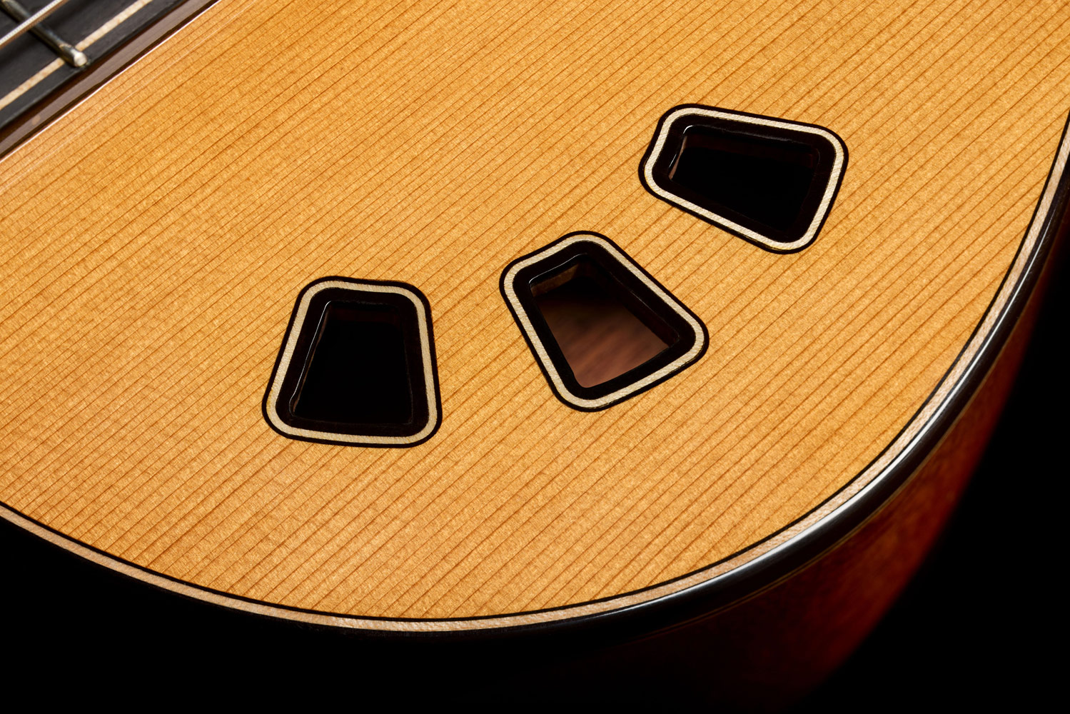 Close-up view of Stage Artist Traditional soundhole