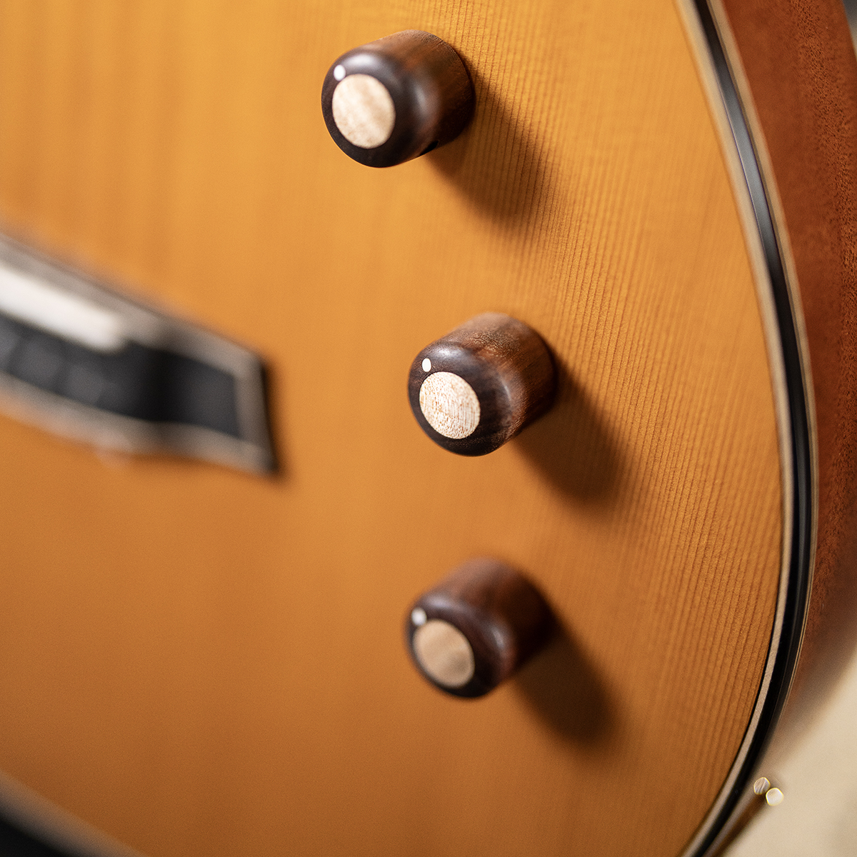 Close-up of Córdoba Stage Artist Traditional showcasing the Stage pickup system