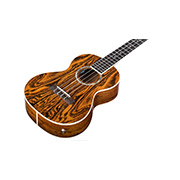 Angled front view of 15Tb-E ukulele thumb