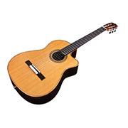 Angled front view of Fusion Orchestra CE thumb