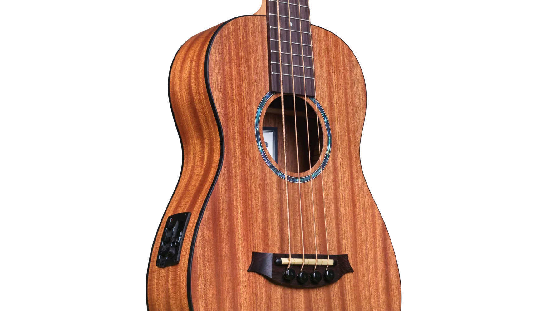 Close-up body view of Mini II Bass MH-E