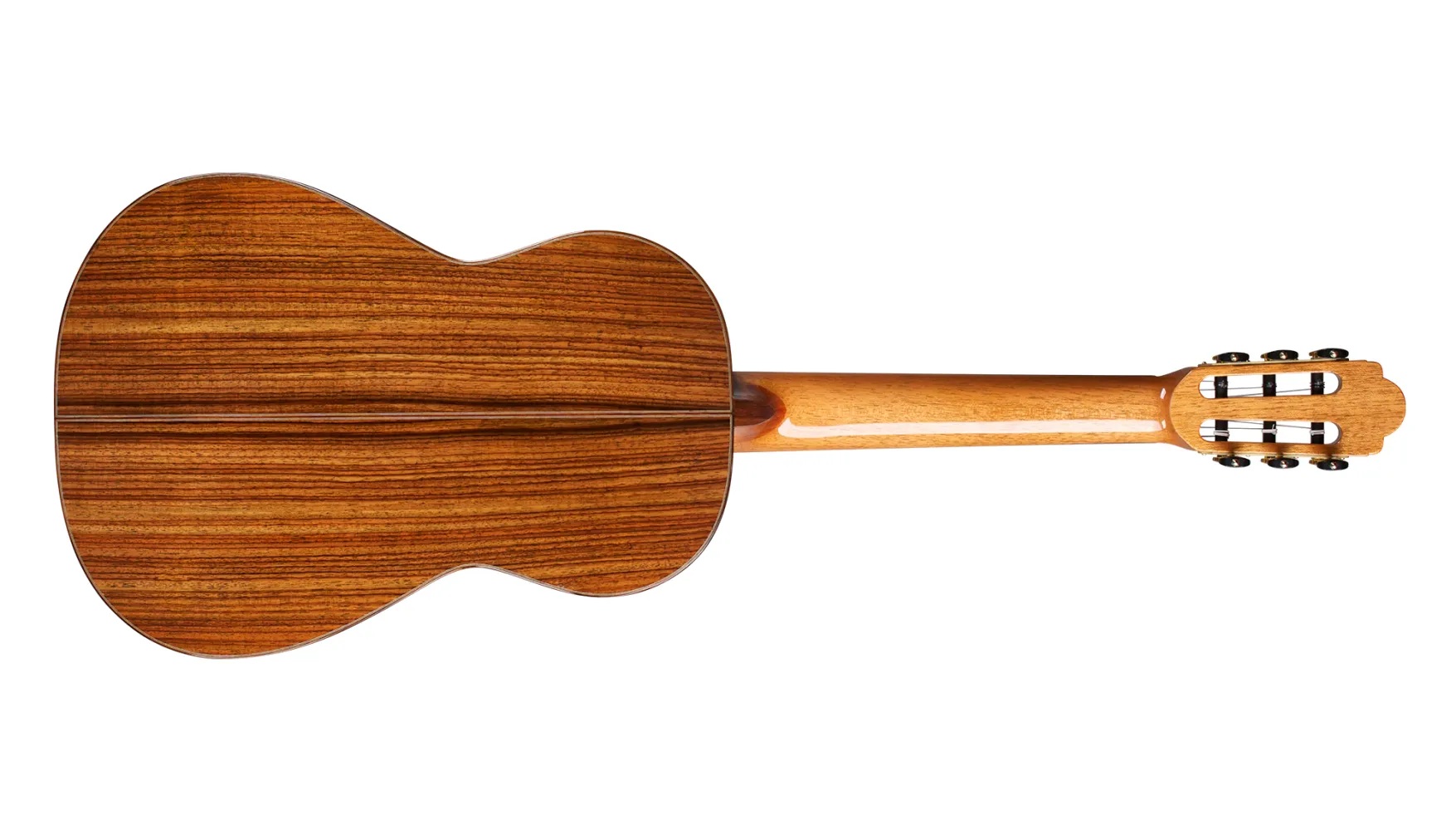 Horizontal back view of Torres