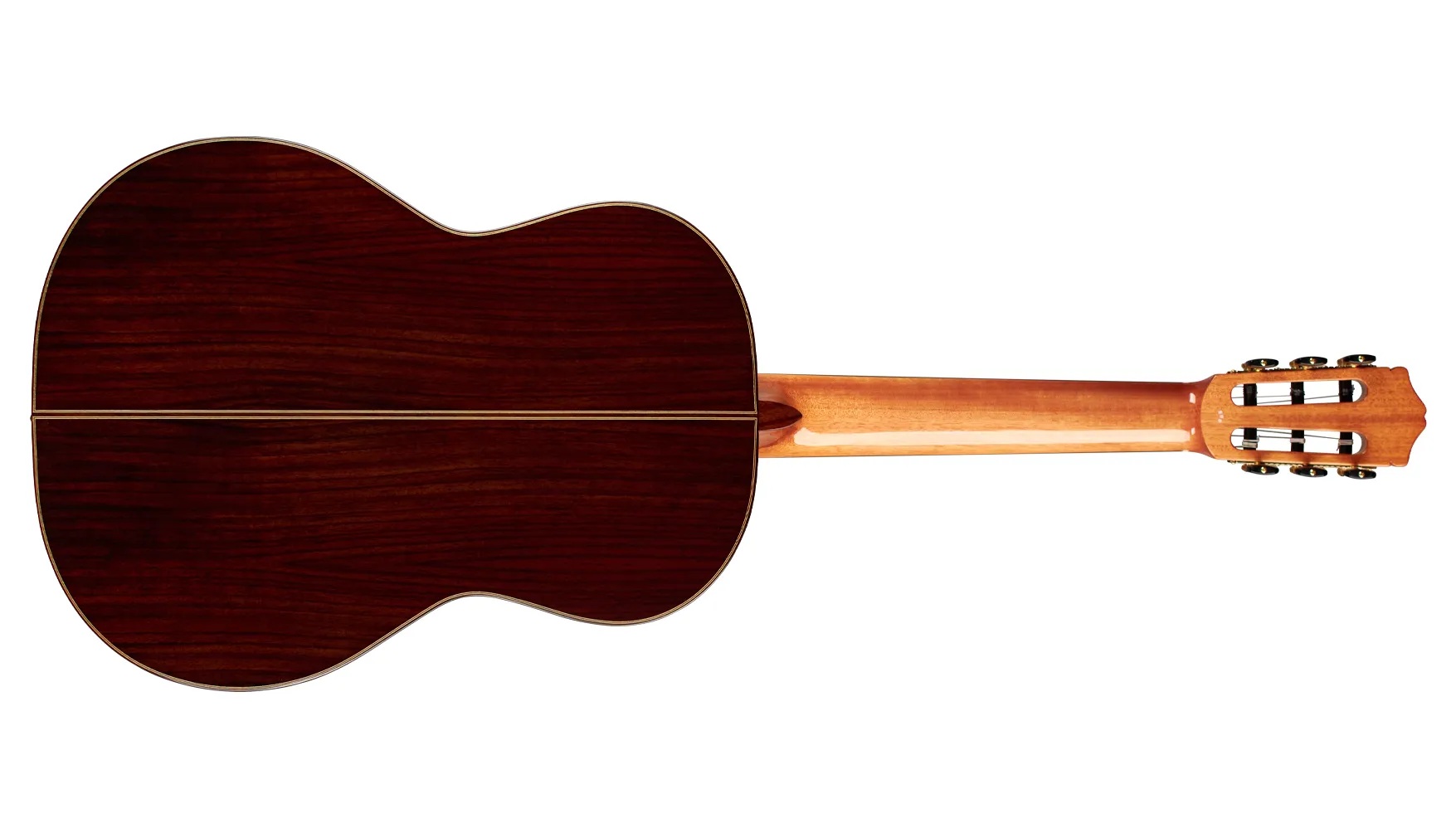 Horizontal back view of C7 SP