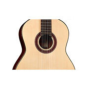 Close-up body view of C7 SP thumb