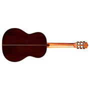 Horizontal back view of C7 SP thumb